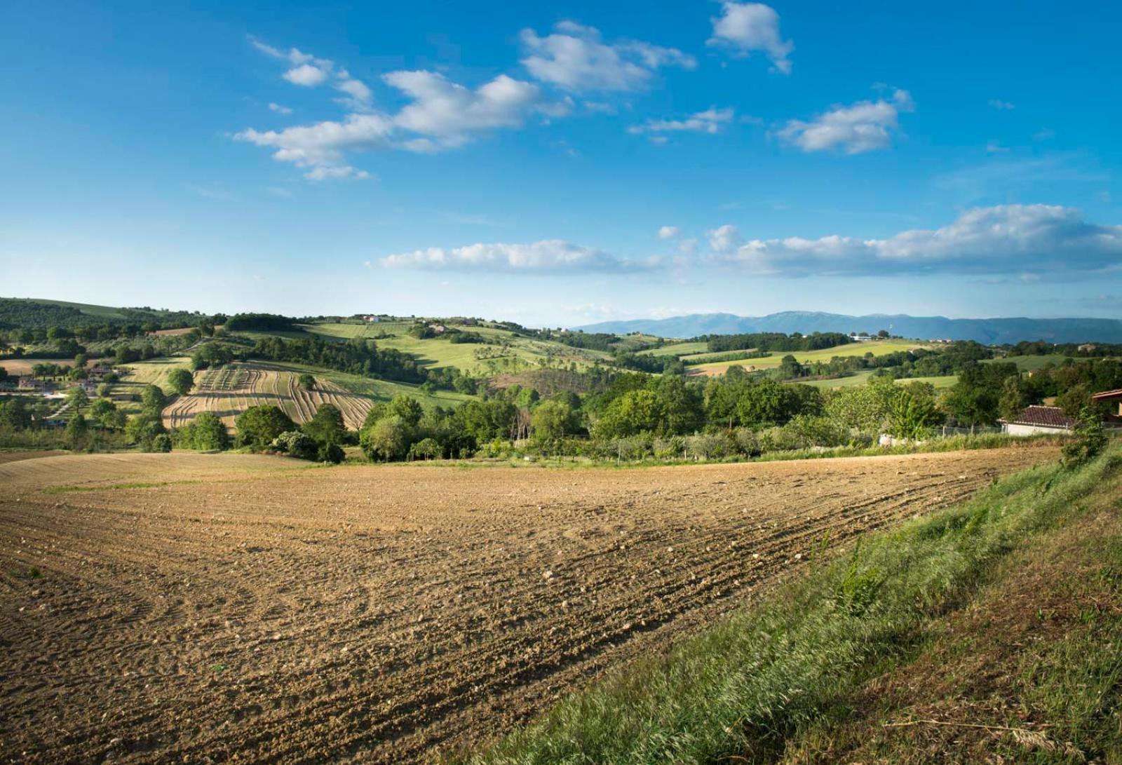 Avigliano Umbro Agriturismo Piano Grande מראה חיצוני תמונה