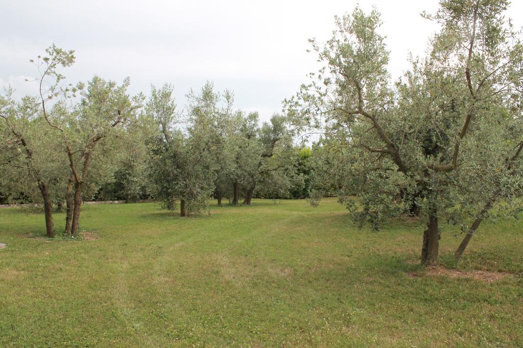Avigliano Umbro Agriturismo Piano Grande חדר תמונה